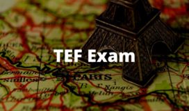 French TEF French TEF