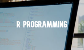 R Programming R Programming