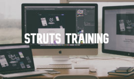 Struts Struts