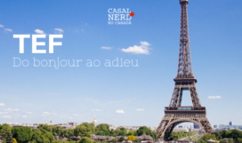 French TEF French TEF