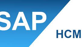 download (10) sap hcm